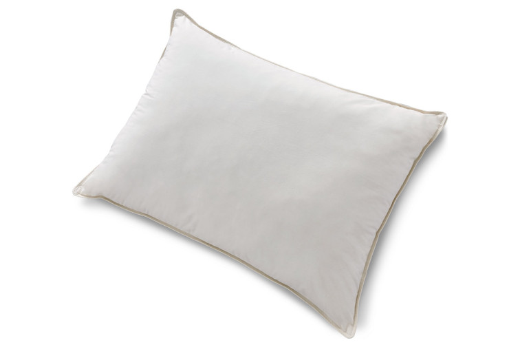 Ashley Sleep Essentials Cotton Allergy Pillow (Set of 4) • Bed Pillows