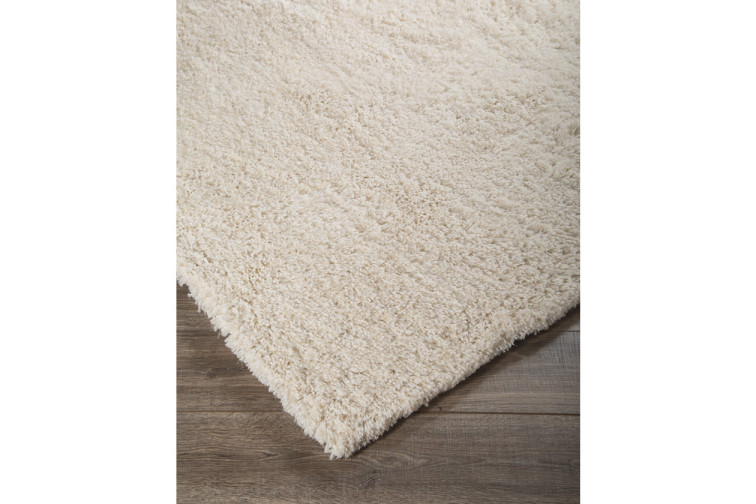 Alonso 5' x 7' Rug • Rugs