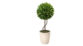 Faux Boxwood Topiary - Single Sphere