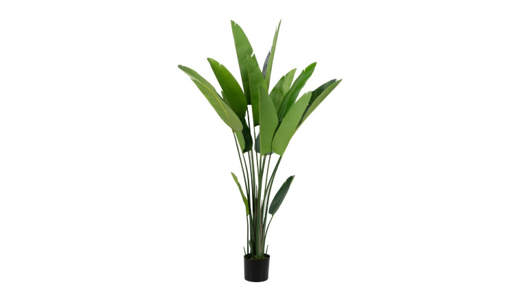 Faux Plant  Banana Tree In Pot • Outlet