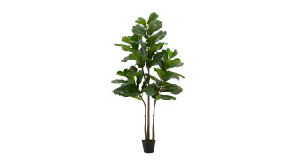 ხელოვნური მცენარე  Fiddle-Leaf Fig Tree In Pot