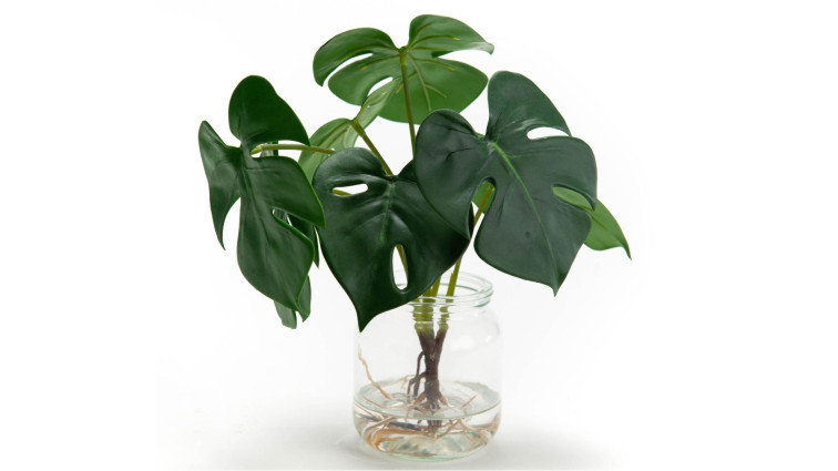 Decorative COMPO MONSTERA EAU • Faux Plants