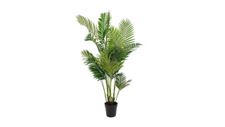 Areca Palm, artificial palm, green, 175 cm