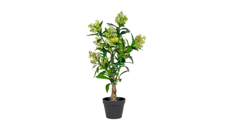 Skimmia Tree, artificial plant, green, 75 cm • Faux Plants