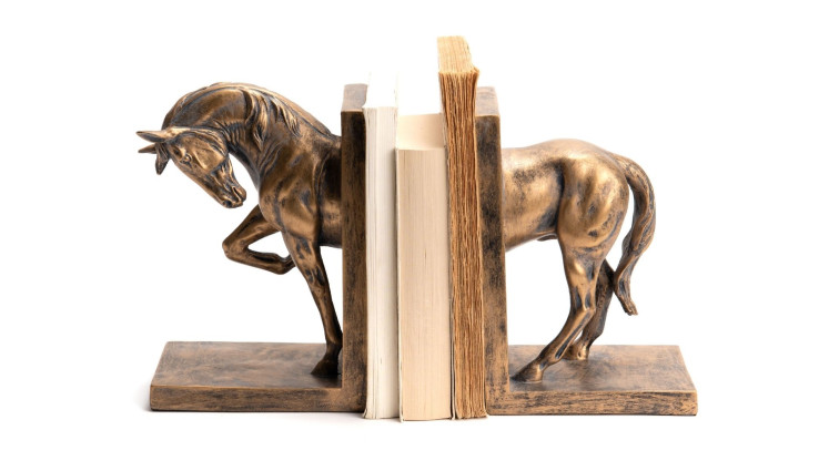 bookcase  HORSE DORE