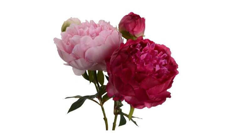 ყვავილი  PIVOINE – ხელოვნური მცენარე 