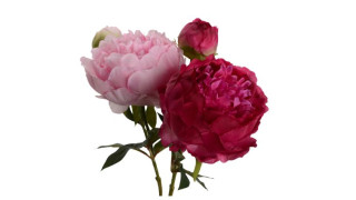 ყვავილი  PIVOINE – ხელოვნური მცენარე 