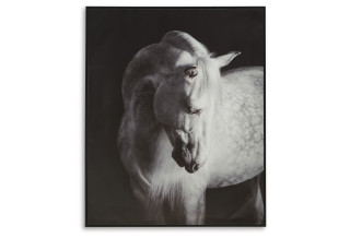 სურათი Archerwick – სურათი 