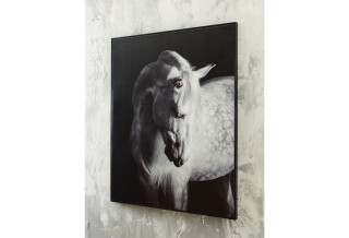 სურათი Archerwick – სურათი 